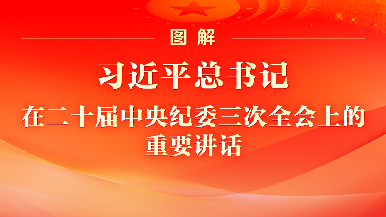 图解丨习近平总书记在二十届中央纪委三次全会上的重...